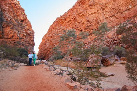 Best Of Alice Springs Full Day Tour - Accommodation Gold Coast 1