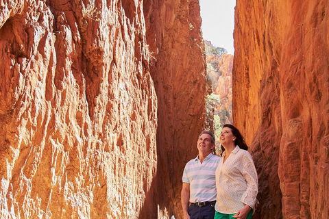 Best Of Alice Springs Full Day Tour - Accommodation Gold Coast 4