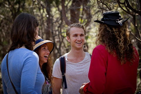 Blue Mountains Nature And Wildlife Day Tour From Sydney - Accommodation Gold Coast 4