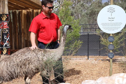 Blue Mountains Nature And Wildlife Day Tour From Sydney - Accommodation Gold Coast 5