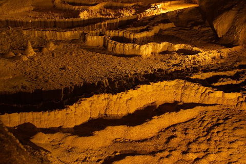 The Explorers' Discovery Tour - Gold, Wine & Wildlife - Accommodation Gold Coast 0