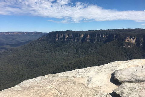 The Explorers' Discovery Tour - Gold, Wine & Wildlife - Accommodation Gold Coast 1