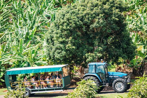 Northern Rivers Full Day Wine Tour - Accommodation Gold Coast 1