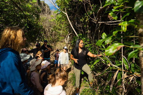 Cape Byron Aboriginal Tour - Accommodation Gold Coast 4