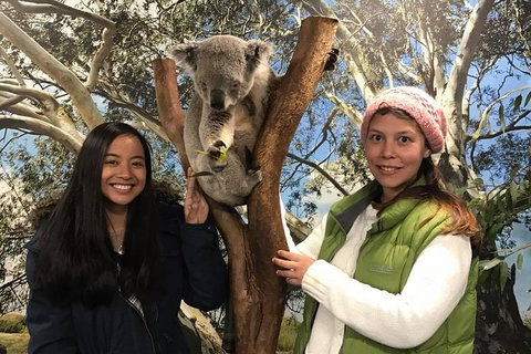 The Ultimate Sydney Attractions Pass - Accommodation Gold Coast 1