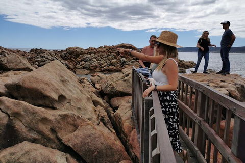 Margaret River Impression Day Tour From Perth - Accommodation Gold Coast 4
