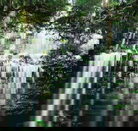 Mt Field National Park and Russell Falls from Hobart - Accommodation Gold Coast