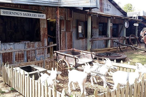 Full Day Atherton Tablelands Tour From Cairns - Accommodation Gold Coast 4