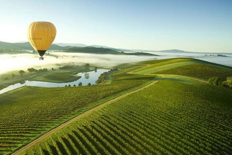 Half-Day Or Full-Day Tour With Private Guide From Melbourne - Accommodation Gold Coast 4