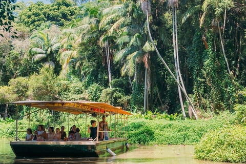 Tropical Fruit World Farm Full Tour - Accommodation Gold Coast 0
