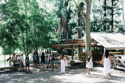 Tropical Fruit World Farm Full Tour - Accommodation Gold Coast 3