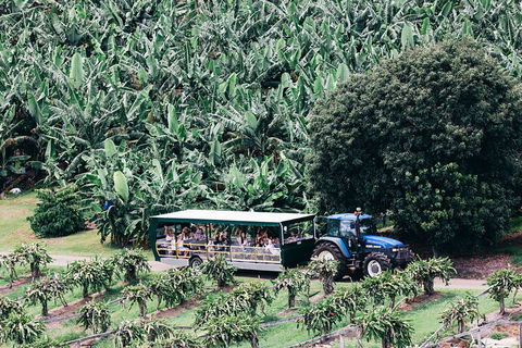 Tropical Fruit World Farm Full Tour - Accommodation Gold Coast 5