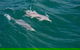 North Stradbroke Island Private Tour With Pickup - thumb 0