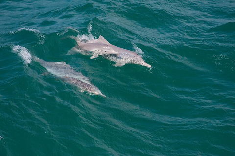 North Stradbroke Island Private Tour With Pickup - Accommodation Gold Coast 0