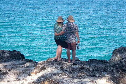 North Stradbroke Island Private Tour With Pickup - Accommodation Gold Coast 4
