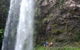 Springbrook National Park Discovery Full-Day Bushwalking Tour - thumb 0