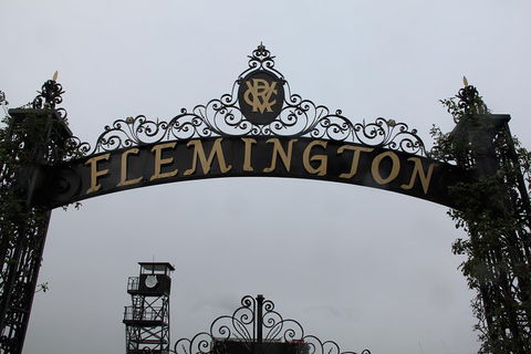 Half-Day Sports Lovers Bus Tour Of Melbourne With Tour Options - Accommodation Gold Coast 3