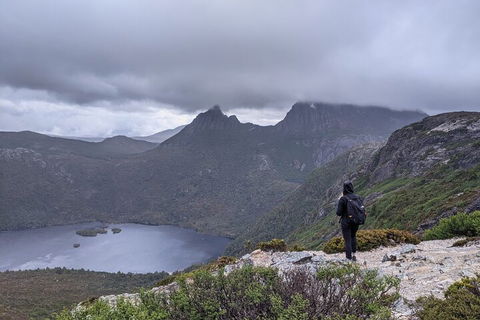 5-Day Best Of Tasmania Tour From Hobart - Accommodation Gold Coast 3
