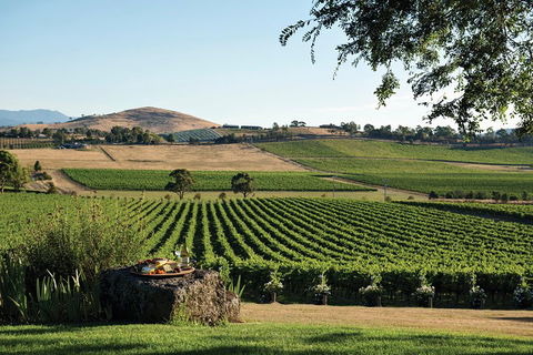 Small Group 6 Guests: Ultimate Yarra Valley Food And Wine - Mercedes Van - Accommodation Gold Coast 4