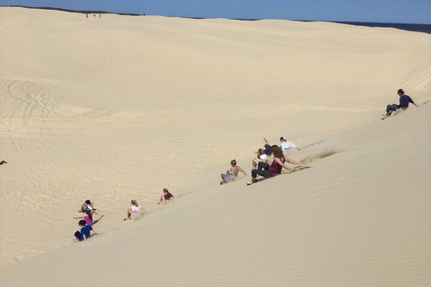 Port Stephens Bush, Beach And Sand Dune 4WD Passenger Tour - Accommodation Gold Coast 4
