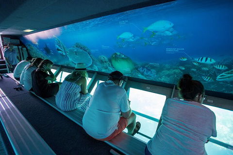 Great Barrier Reef Day Cruise To Reefworld - Accommodation Gold Coast 0