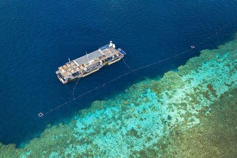 Great Barrier Reef Day Cruise To Reefworld - Accommodation Gold Coast 2
