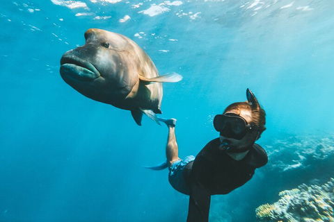 Great Barrier Reef Day Cruise To Reefworld - Accommodation Gold Coast 3