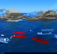 3-Hour Byron Bay Certified Scuba Diving Tour - Accommodation Gold Coast