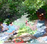 Deluxe Winery Tour to Tamborine Mountain includes gourmet two course lunch - 1 Gold Coast