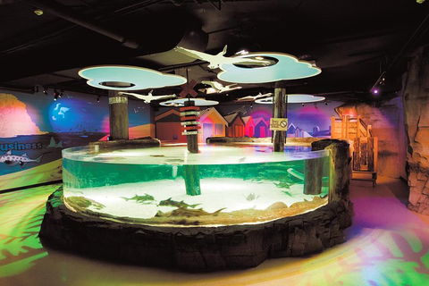 SEA LIFE Melbourne Aquarium Admission Ticket - Accommodation Gold Coast 5