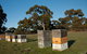 Fine Flavours - Full Day Kangaroo Island Food & Wine Tour - thumb 1