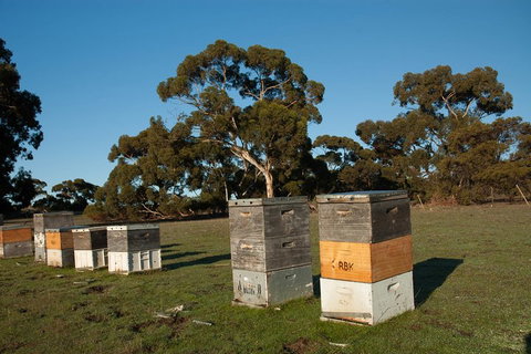 Fine Flavours - Full Day Kangaroo Island Food & Wine Tour - Accommodation Gold Coast 1