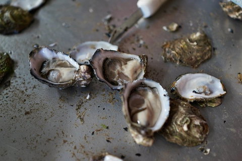 Fine Flavours - Full Day Kangaroo Island Food & Wine Tour - Accommodation Gold Coast 2