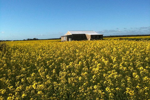 Fine Flavours - Full Day Kangaroo Island Food & Wine Tour - Accommodation Gold Coast 3