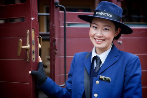 Puffing Billy, Moonlit Sanctuary & Penguins Day Tour - Accommodation Gold Coast 1