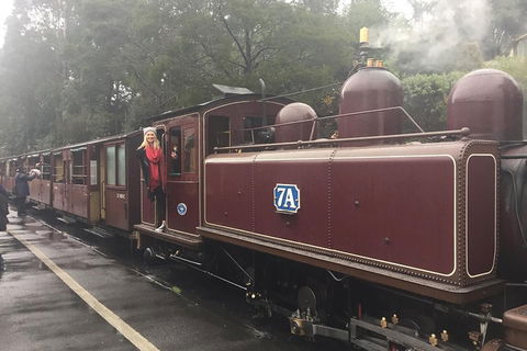 Puffing Billy, Moonlit Sanctuary & Penguins Day Tour - Accommodation Gold Coast 4