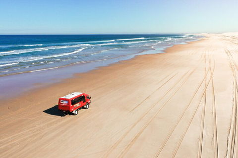 Beach & Dune - Accommodation Gold Coast 4