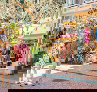 Full Day Sunshine Coast Hinterland Luxury Small Group Tour from Brisbane - 1 Gold Coast