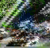 Full Day Small Group Luxury Tour to Tamborine Mountain - 1 Gold Coast