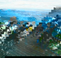 Springbrook National Park  Gold Coast Full Day Luxury Tour from Brisbane - 1 Gold Coast