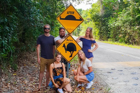 Cape Tribulation, Daintree Rainforest And Wildlife Tour - Accommodation Gold Coast 0