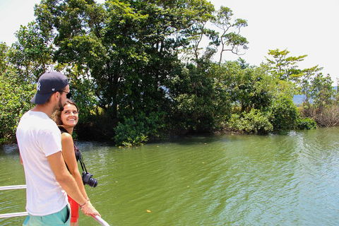 Cape Tribulation, Daintree Rainforest And Wildlife Tour - Accommodation Gold Coast 2