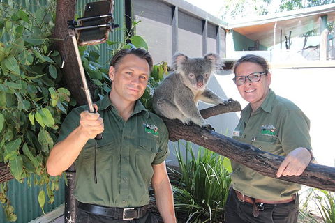 Virtual Interactive Australian Wildlife Tour With Private Guide-Wildlife Habitat - Accommodation Gold Coast 0