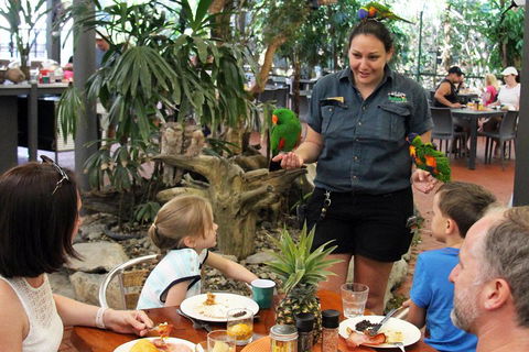 Wildlife Habitat Port Douglas - Accommodation Gold Coast 2