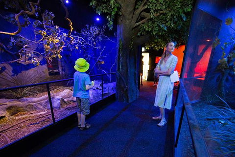 Wildlife Habitat Port Douglas - Accommodation Gold Coast 4
