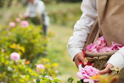 3 Days Adelaide Hills Wellness Escape - Accommodation Gold Coast 3