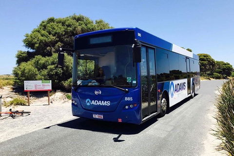 Rottnest Bayseeker Bus Tour From Hillarys Boat Harbour - Gold Coast 4U 0
