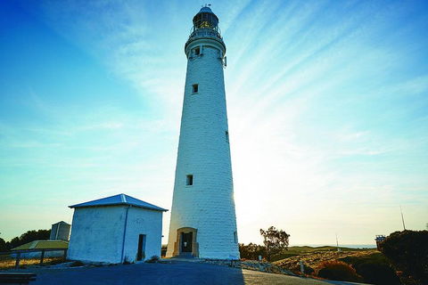 Rottnest Bayseeker Bus Tour From Hillarys Boat Harbour - Gold Coast 4U 2