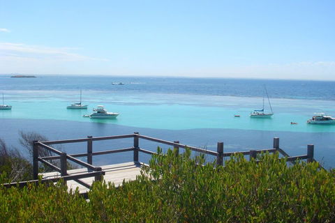 Rottnest Bayseeker Bus Tour From Hillarys Boat Harbour - Gold Coast 4U 3