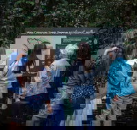 Sunshine Coast Hinterland and Noosa Day Trip from Brisbane Including Eumundi Markets and Ginger Factory - 1 Gold Coast